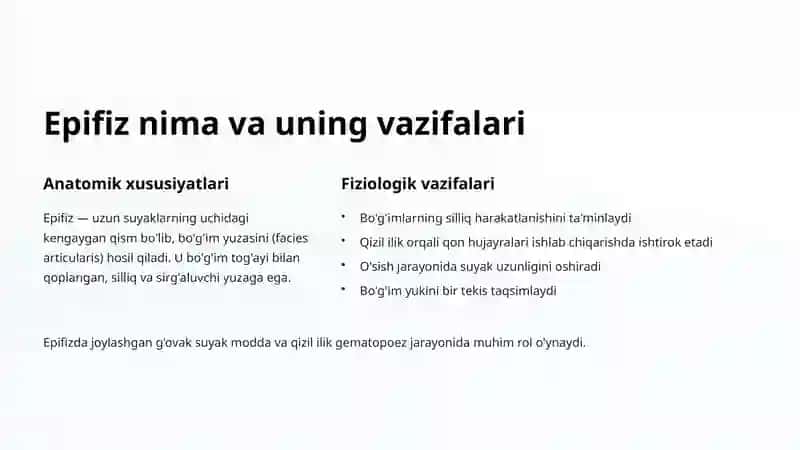 Son suyaklari va uning epifizlari 3