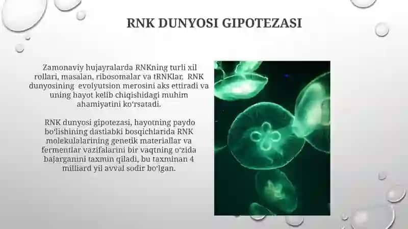 Kimyoviy va biologik evolutsiya 3