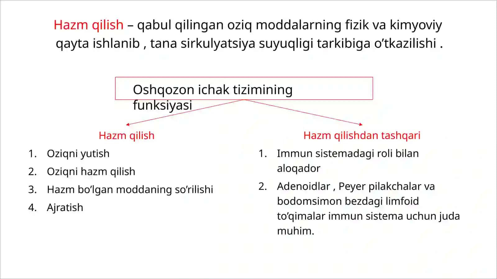 Hazmsistemasi 3