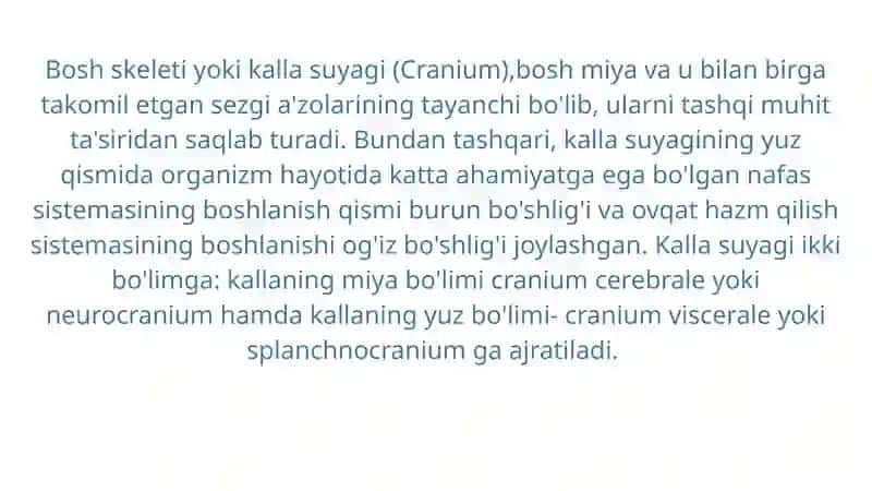 Kallaning yuz qismi suyaklari 3