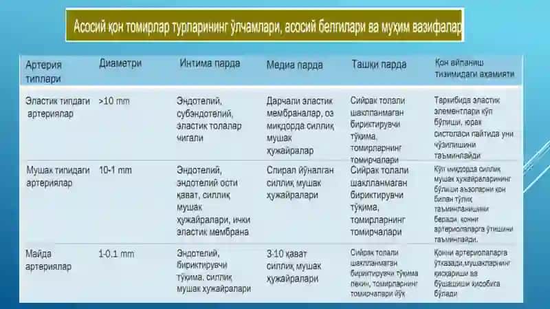 Юракишлаши 3