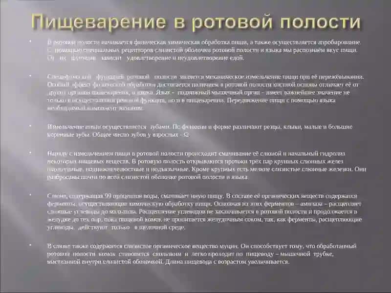 Пищеварение 3