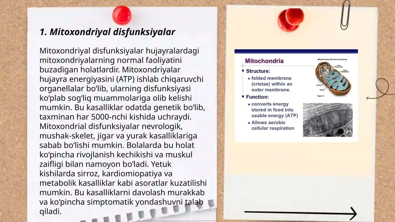 Mitoxondrial kasalliklar gipoenergetik holatlar 3