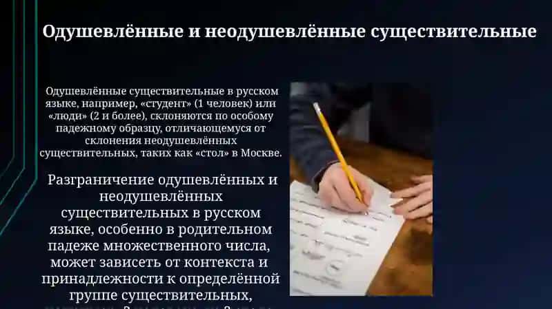 Имя существительное 3
