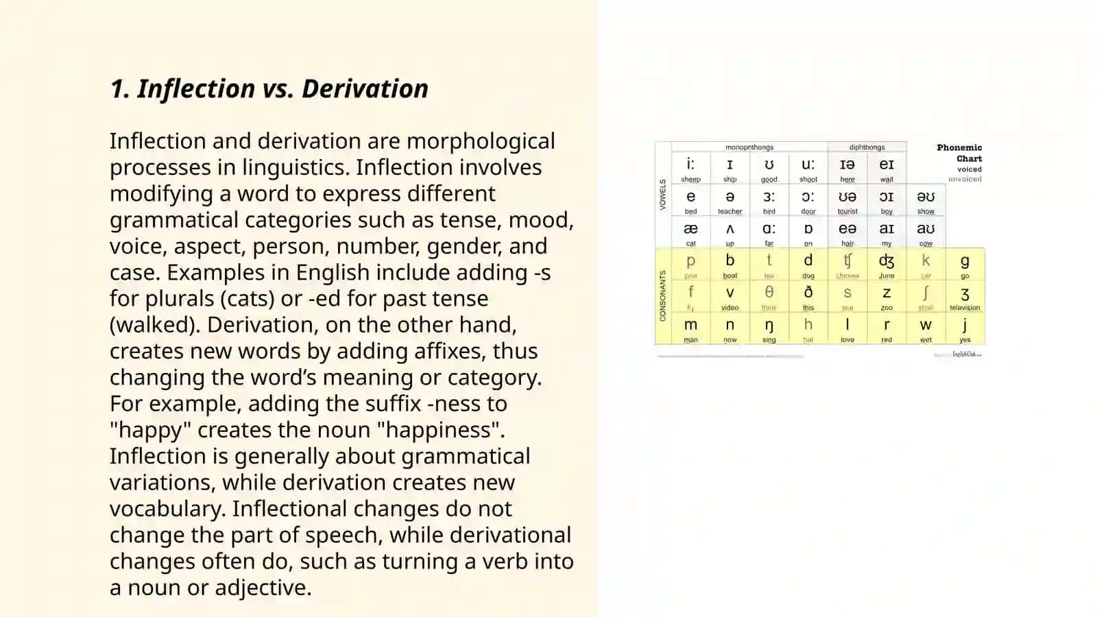 The main problems of morphology in english 3