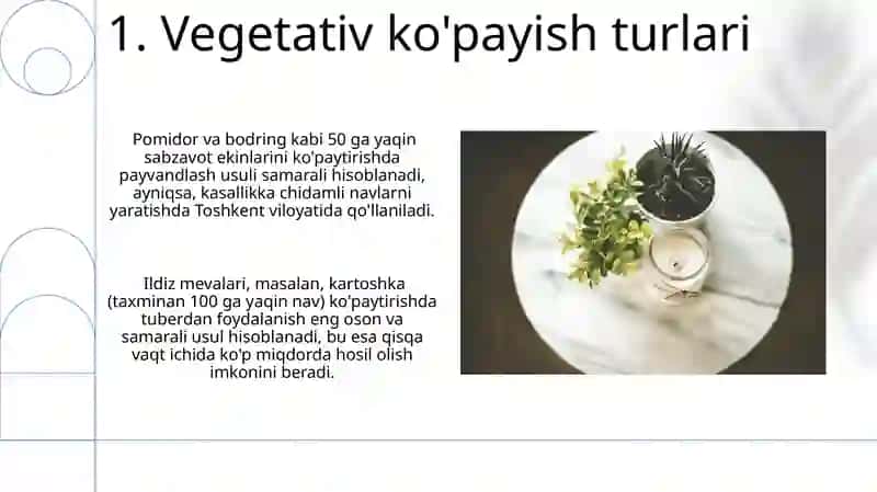 O'simliklarning vegetativ ko'payishi 3