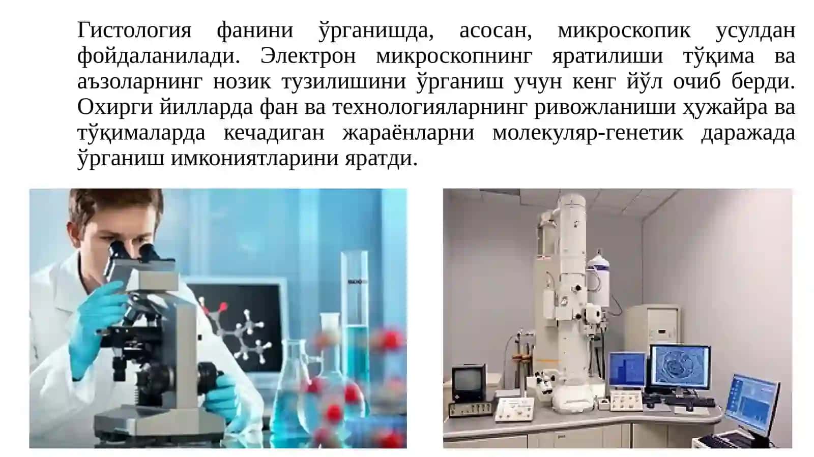 Гистология 3