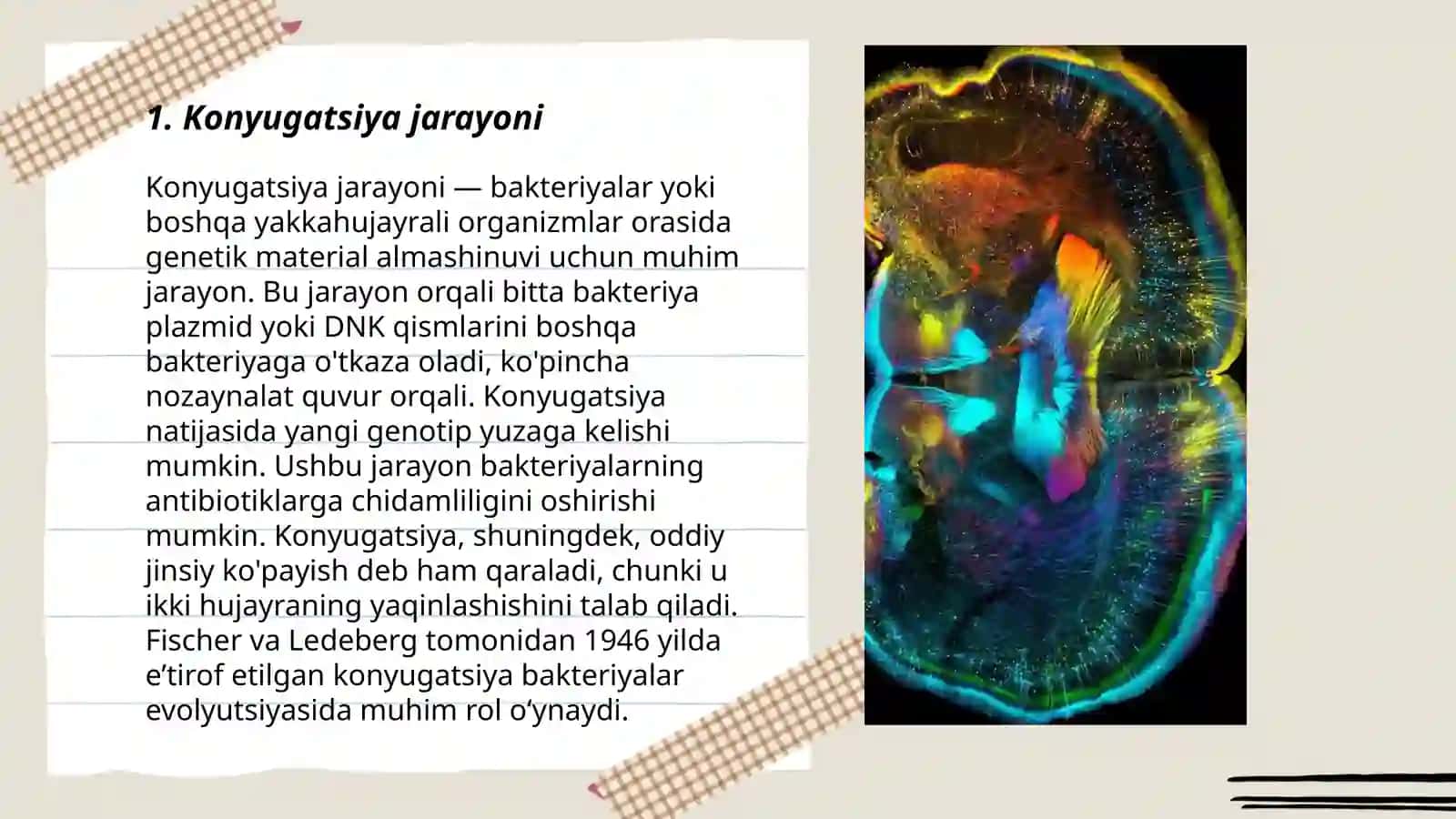 Konyugatsiya va Plazmidalar 3