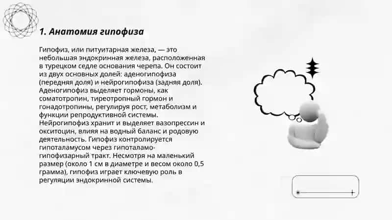 Эпифиз гепофиз щетовидка 3