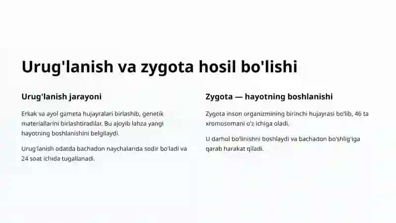 Inson rivojlanishi va embriogenezning qisqacha anatomiyasi 3