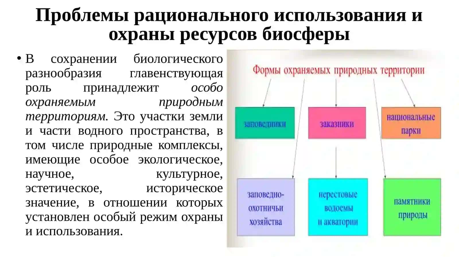 Проблемы охраны окружающей среды в Республике Узбекистан 3