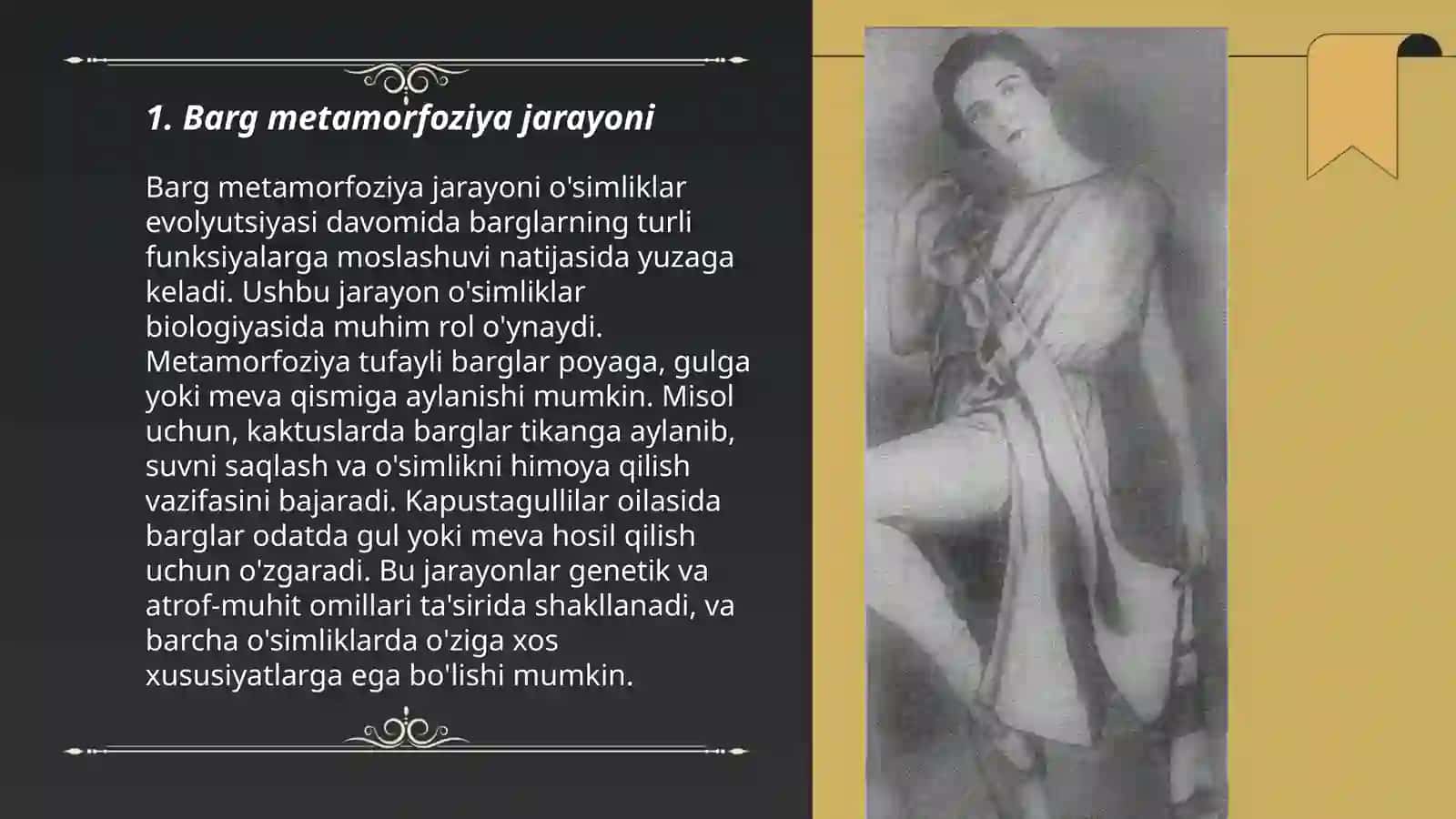 Barg metamorfoziya jarayoni 3