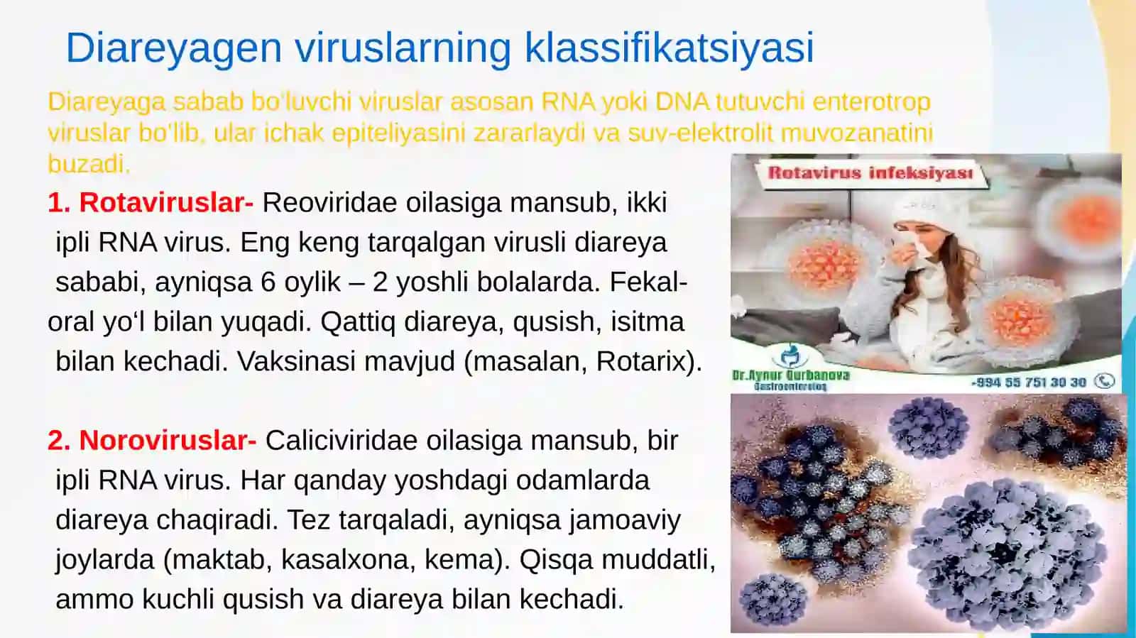 Diareyagen viruslar: klassifikasiyasi, patogenezi, laboratoriya tashhisi 3