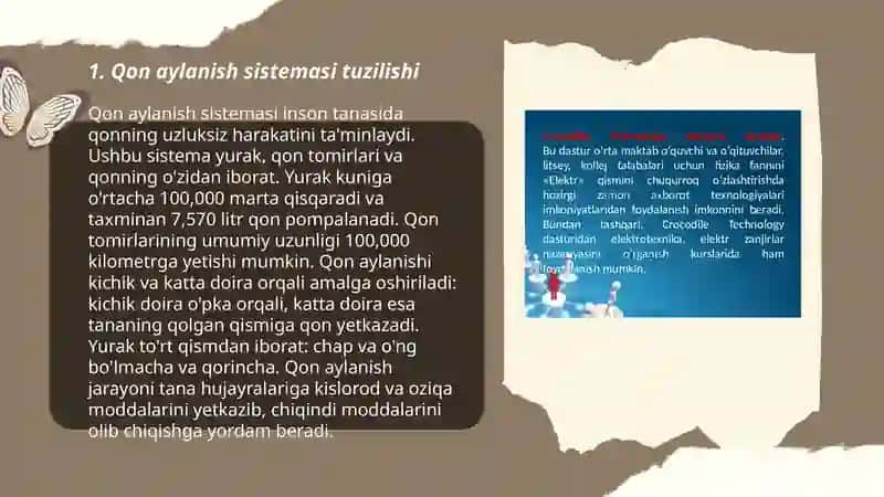 Qon aylanish sistemasining fizik asoslari 3