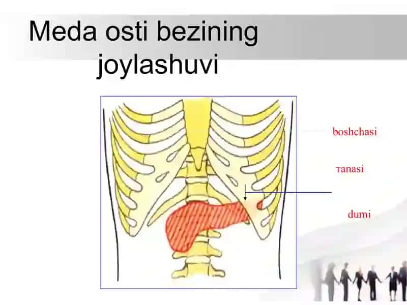 Me’da osti bezi kistalari va oqmalari 3