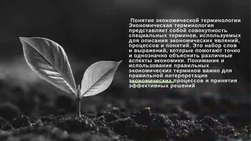 Экономическая терминология 3