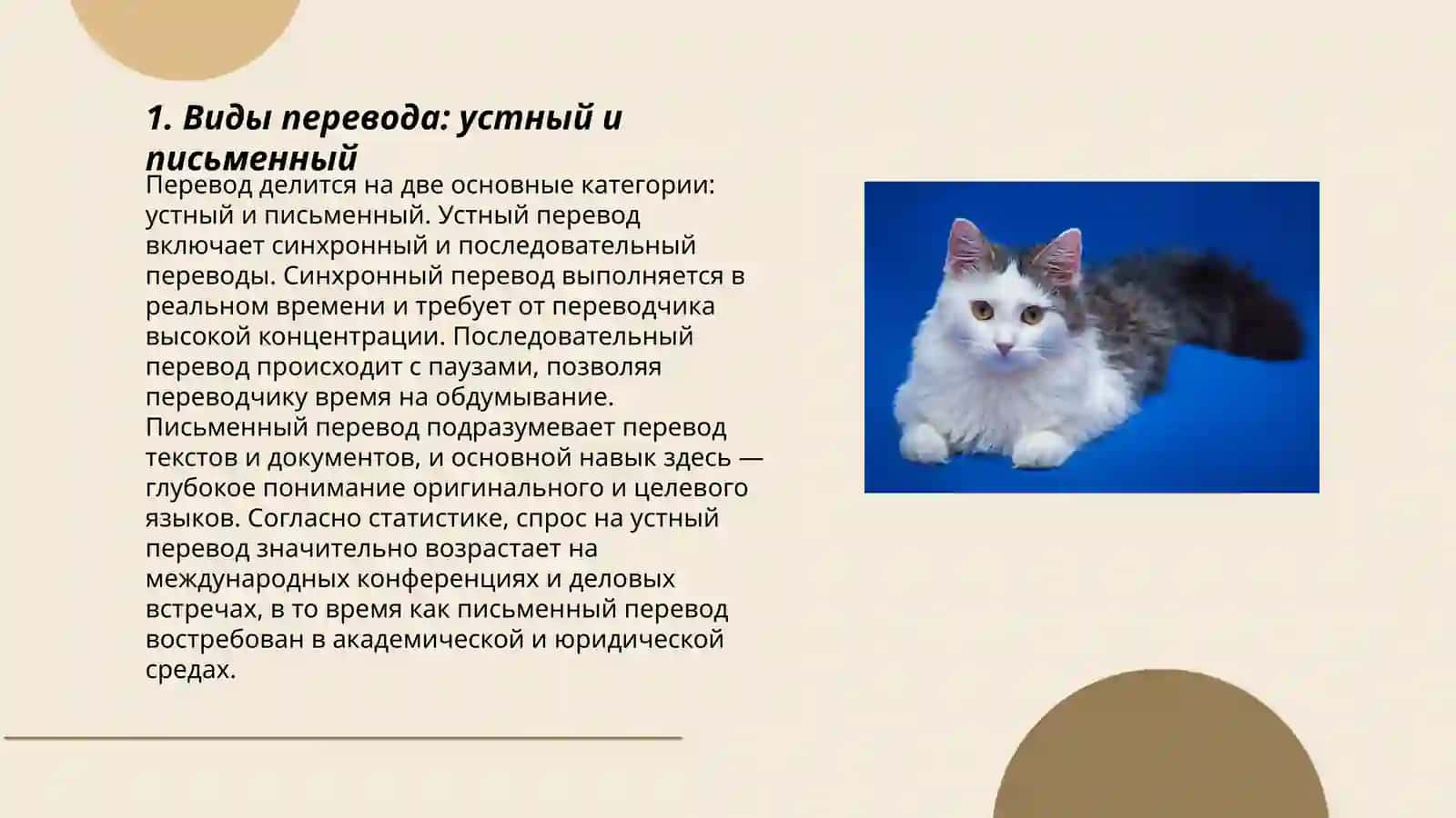 Основная классификация переводов 3