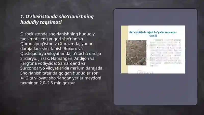 O'zbekiston da sho'rlanish darajasi 3