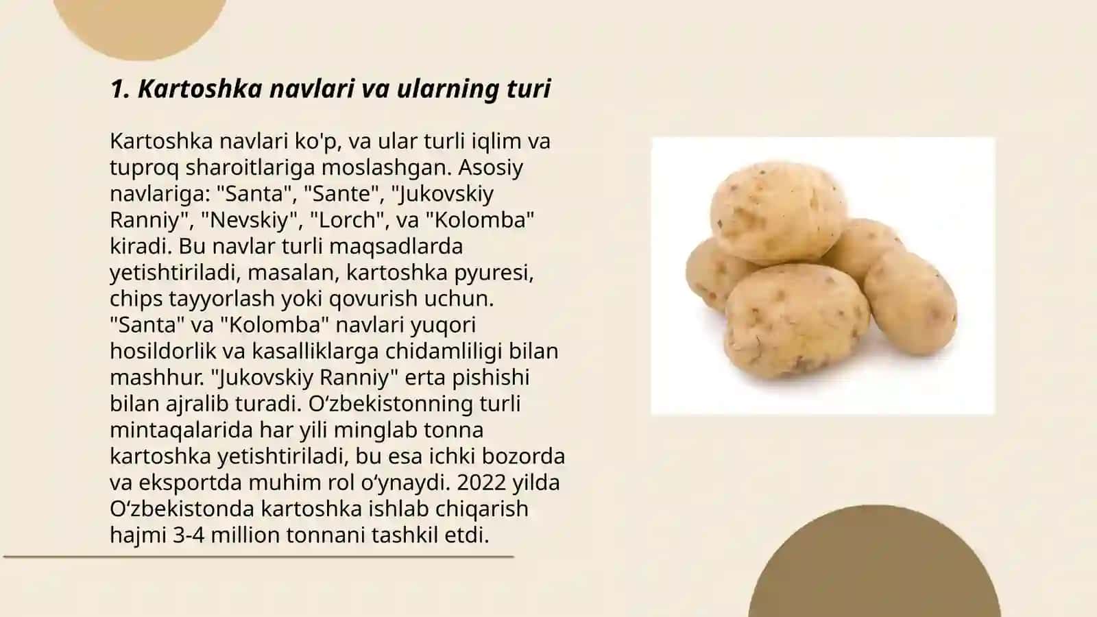 Kartofel (Kartoshka) 3