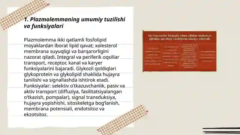 Biologik membranalar plazmolemmaning tuzilishi 3