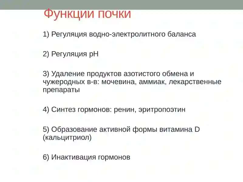Заместительная почечная терапия 3