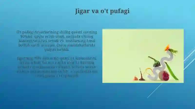Jigar va o't pufagi 3