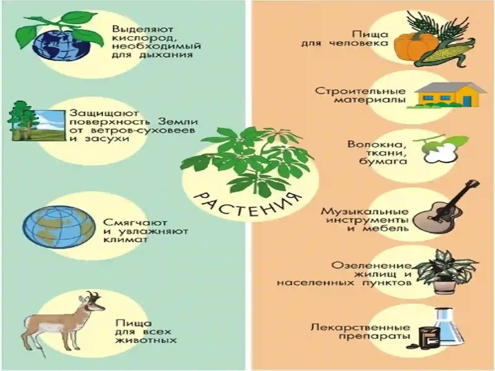 Biosfera va organizmlar 3