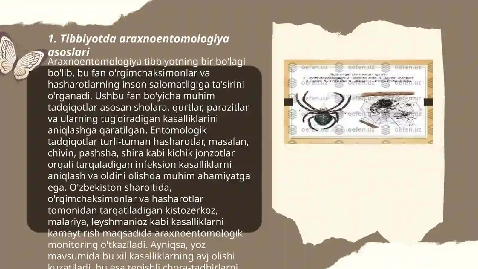Tibbiy araxnoentomologiya:oʻrgimchaksimonlar 3