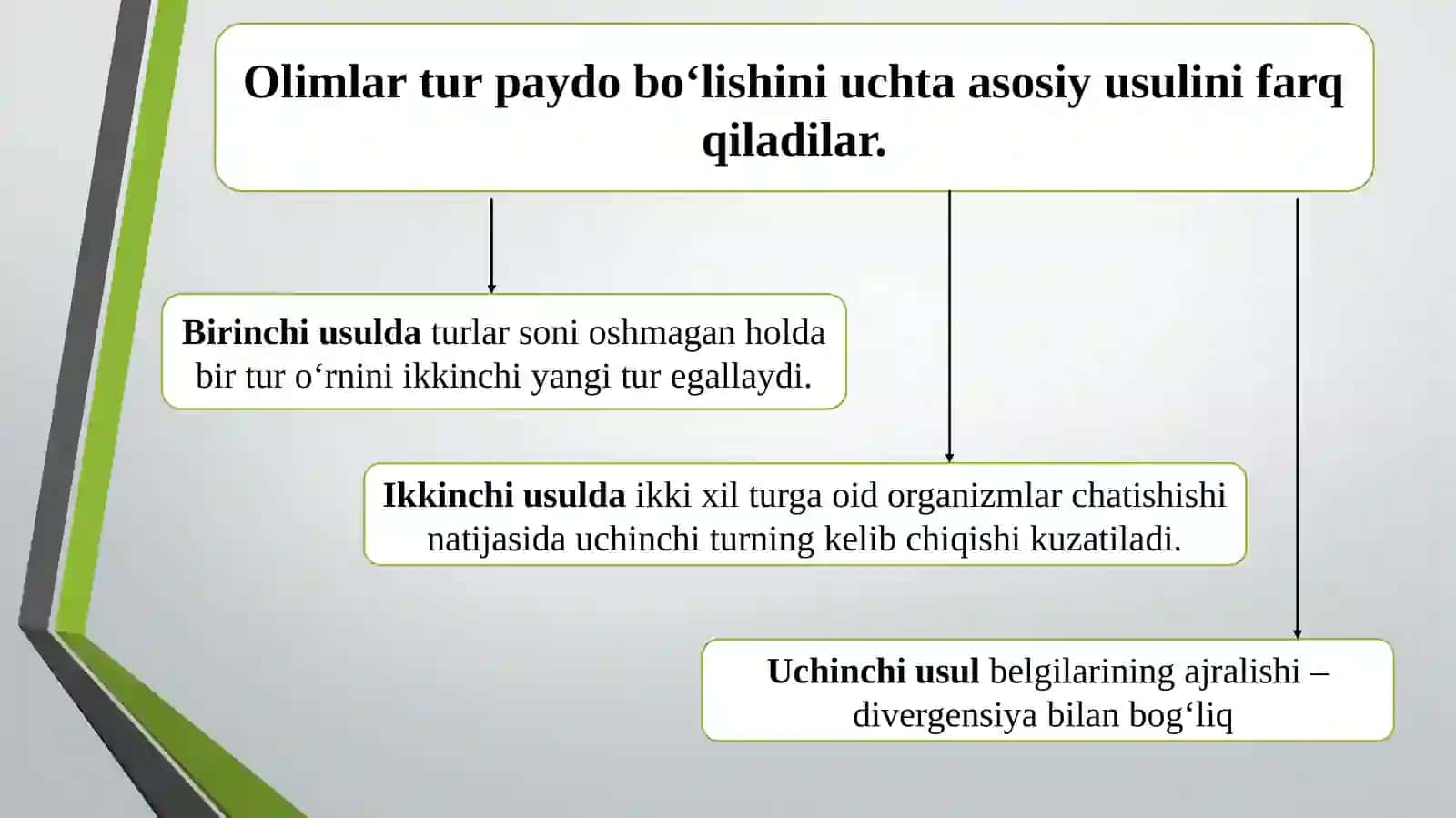 Turlarning paydo bo`lishi 3