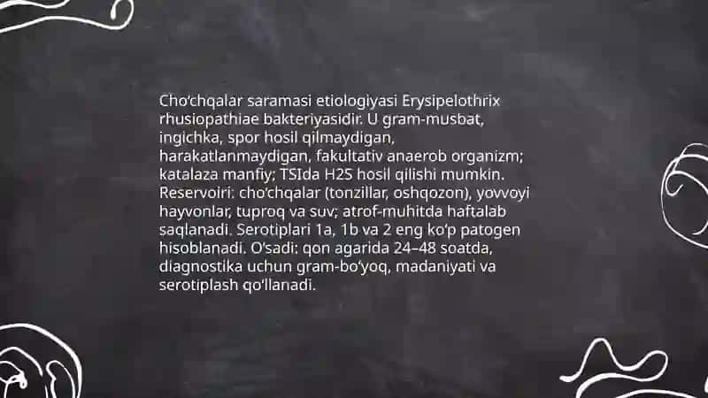 Choçqalar saramas kasalligining laboratoriya diagnostikasi 3