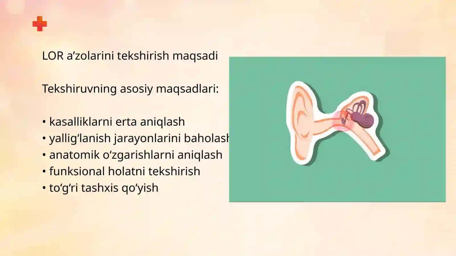 LOR a’zolarini zamonaviy tekshirish usullari 3