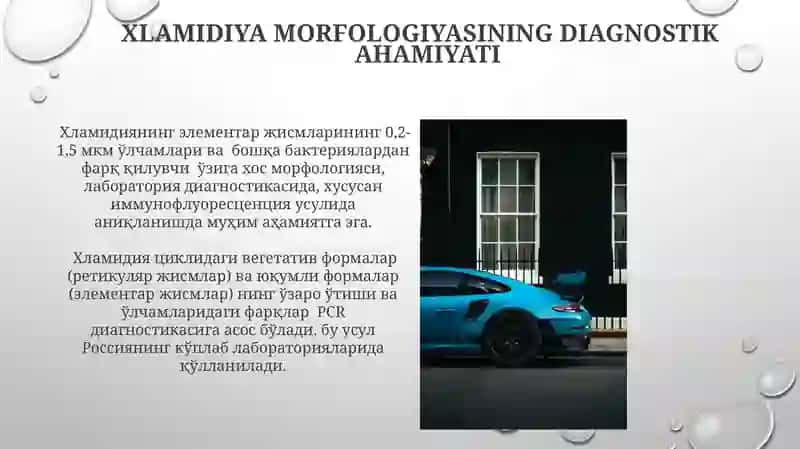 Xlamidiya morfologiyasining diagnostik ahamiyati 3