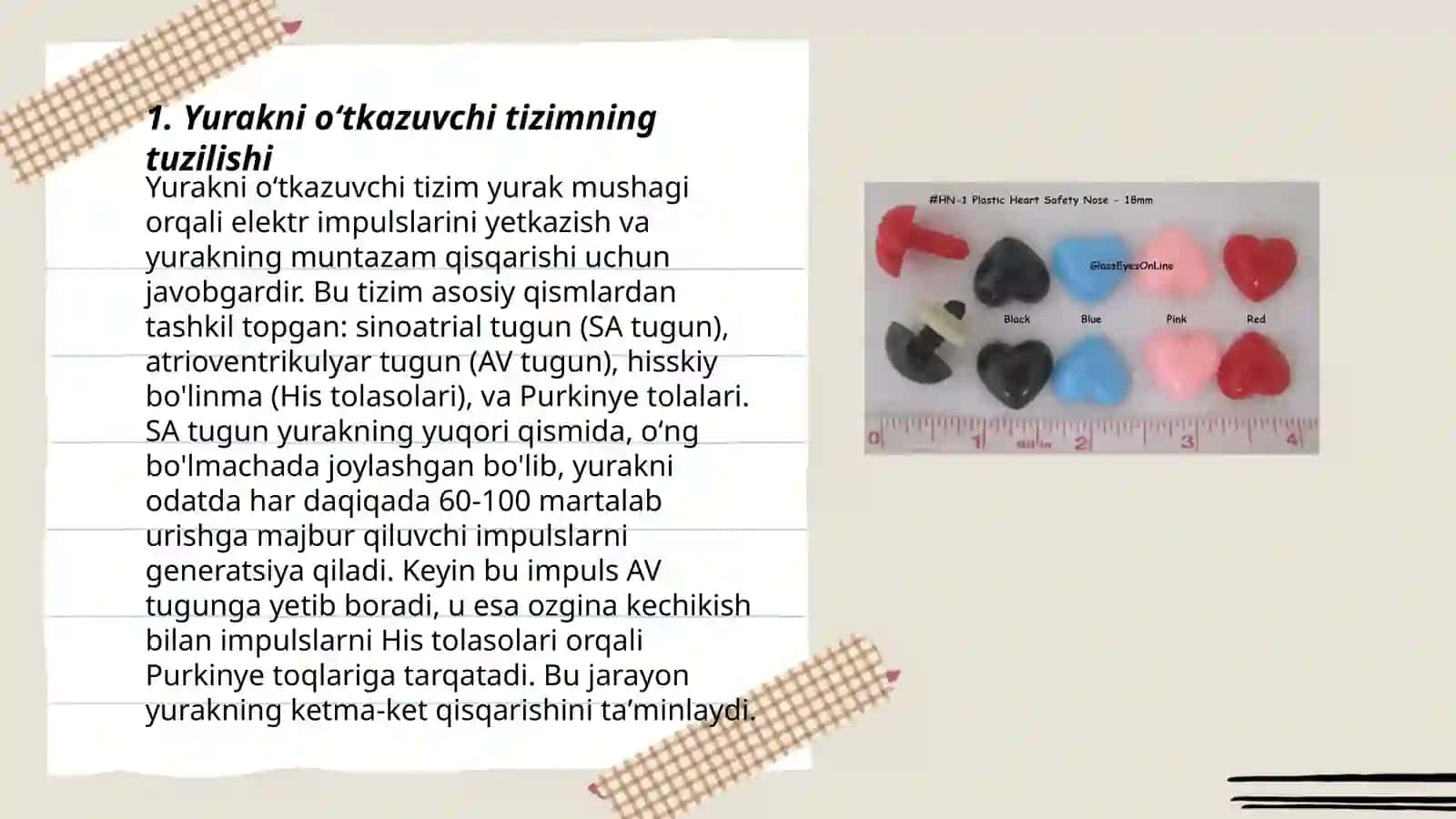 Yurakning oʻtkazuvchi tizimi yurak avtomatizmi 3