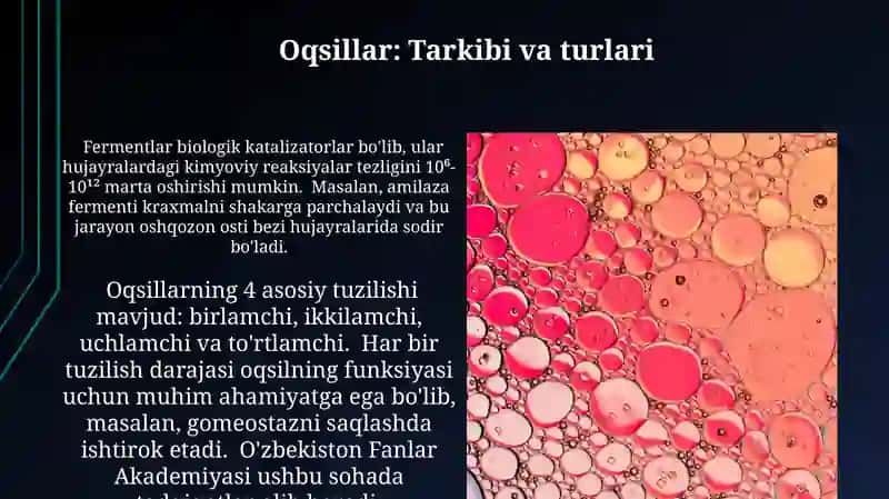 Oqsillar, Fermentlar, Vitaminlar 3