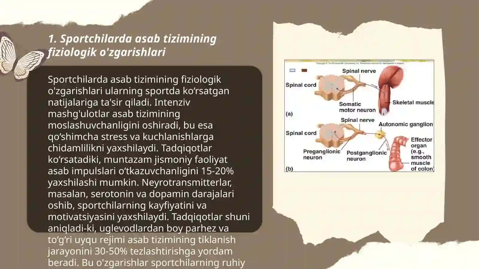 Sportchilarning asab tizimi kasalliklari 3