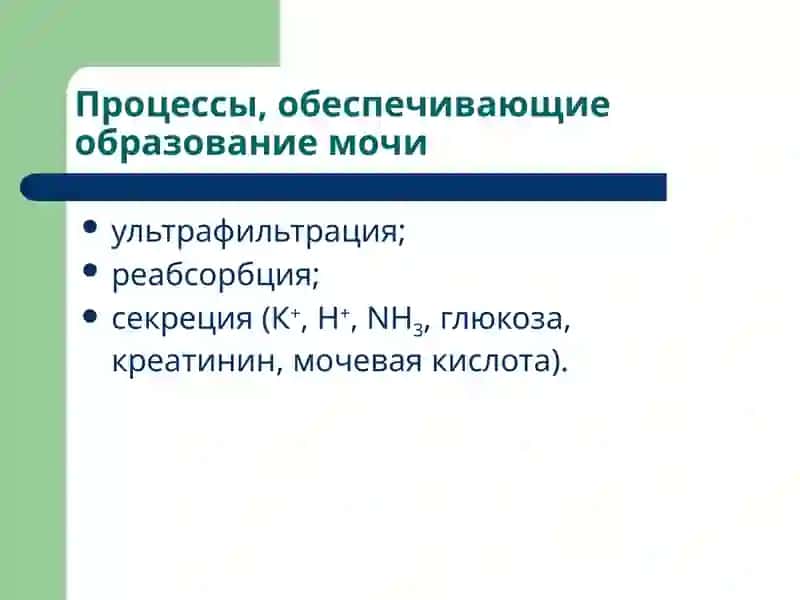Патофизиология почек 3