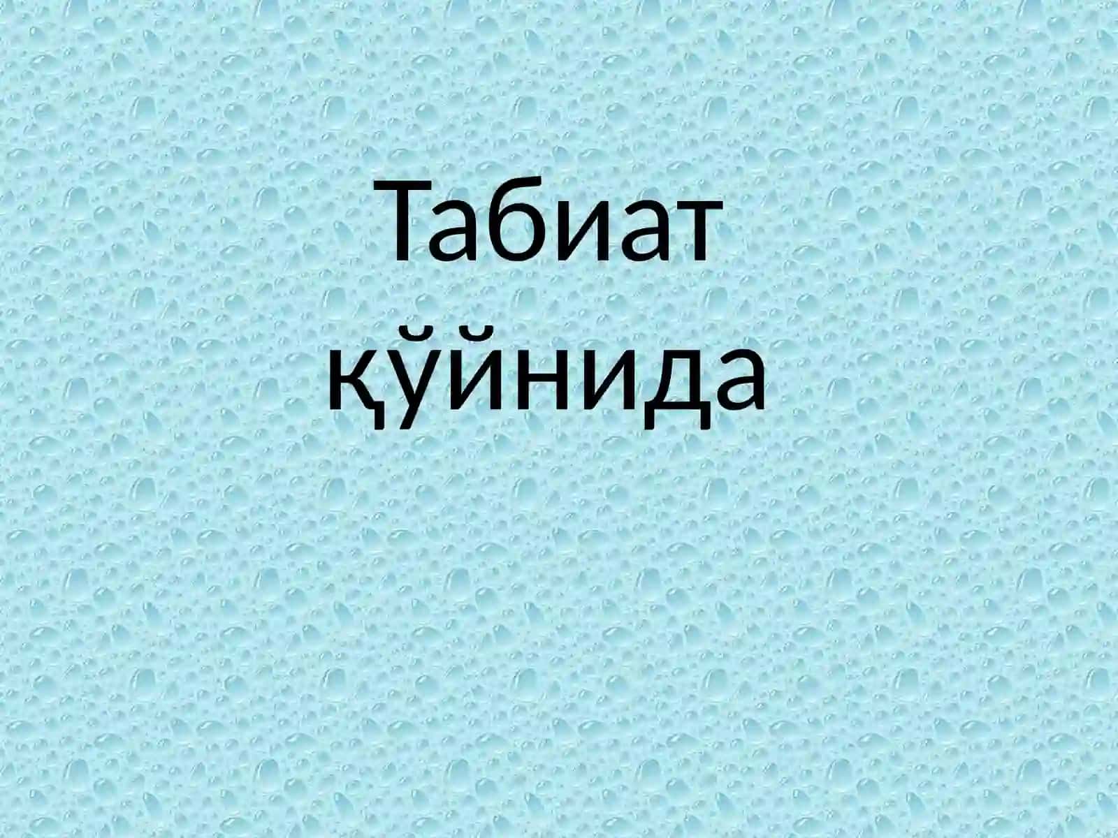Пластилиндан аппликация 3