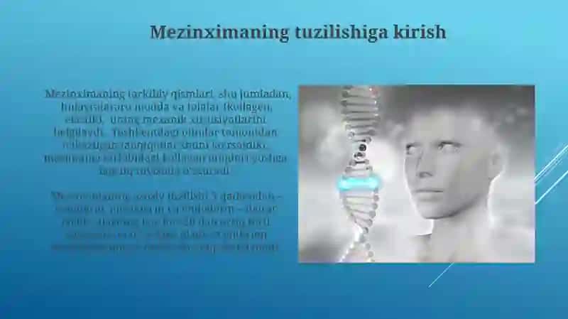 Mezinximaning tuzulishi va ahamiyati 3