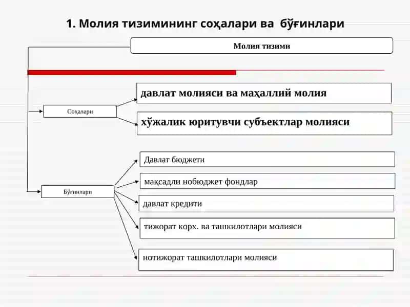 МОЛИЯ ТИЗИМИ 3