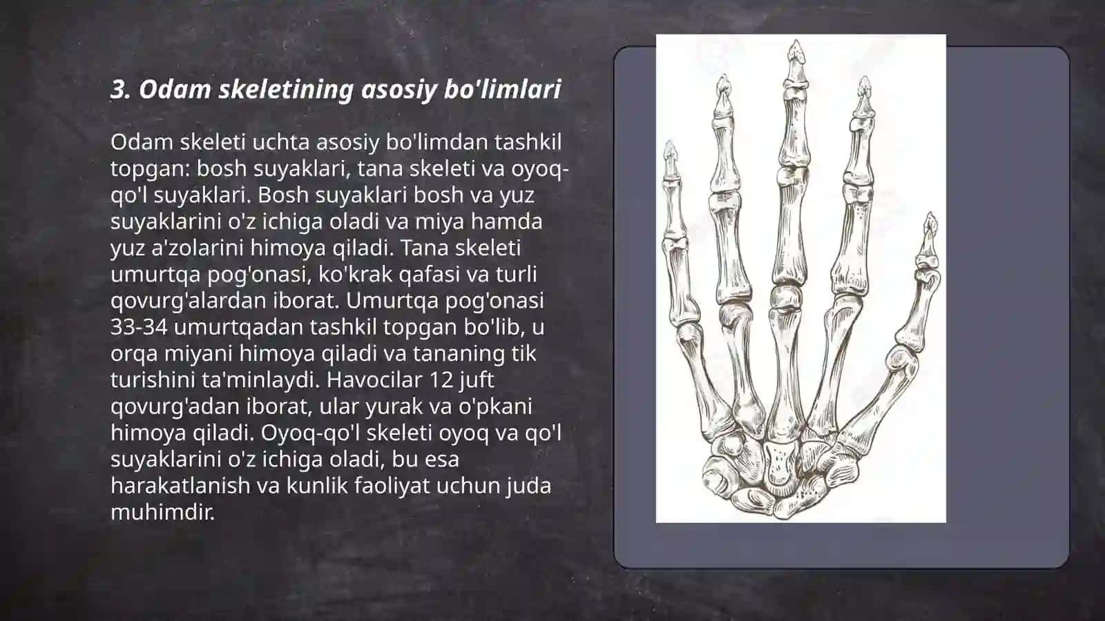 Odam tanasining anatomik tuzilishi haqida ma'lumot 3