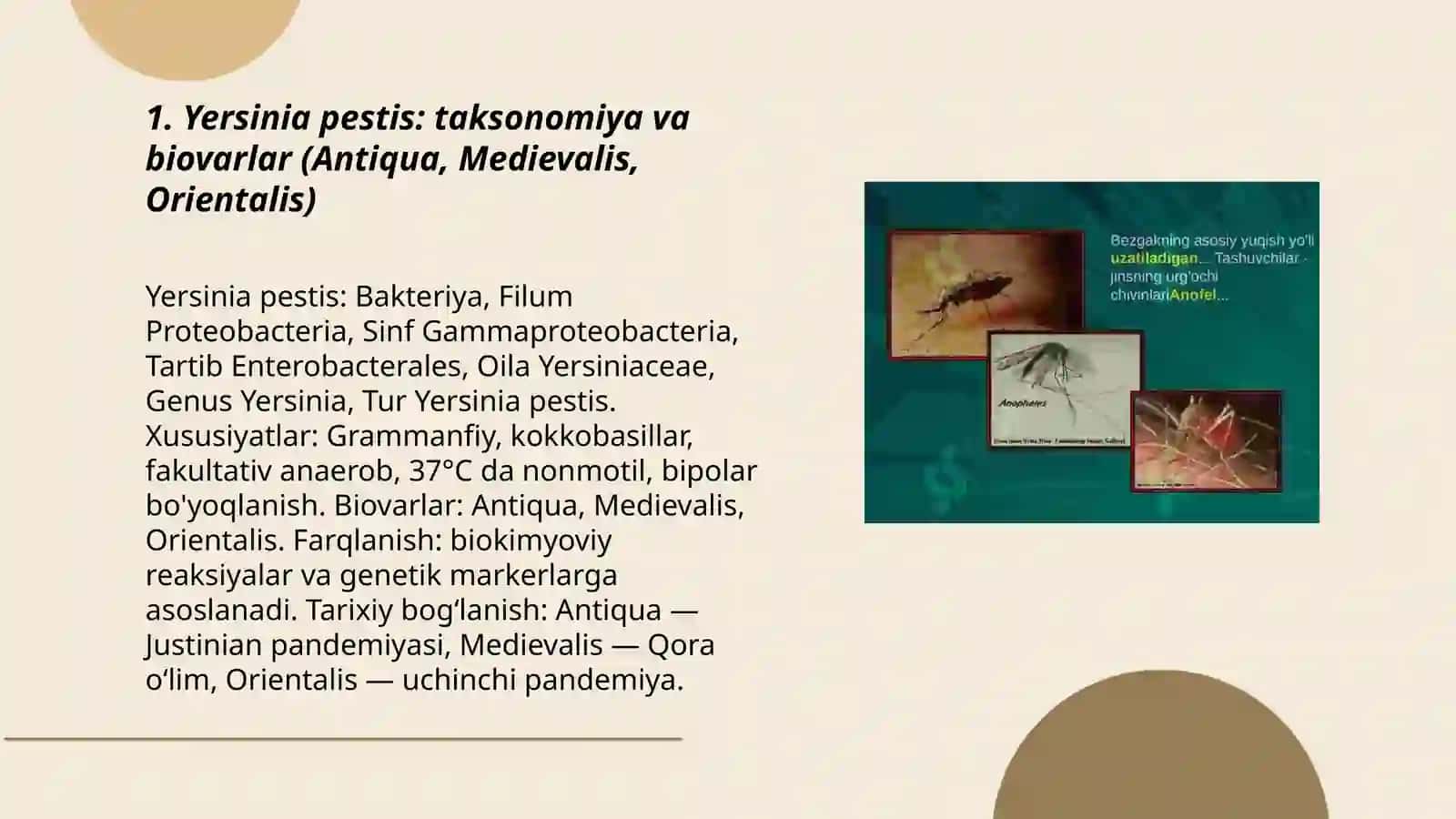 Yersinia pestis 3