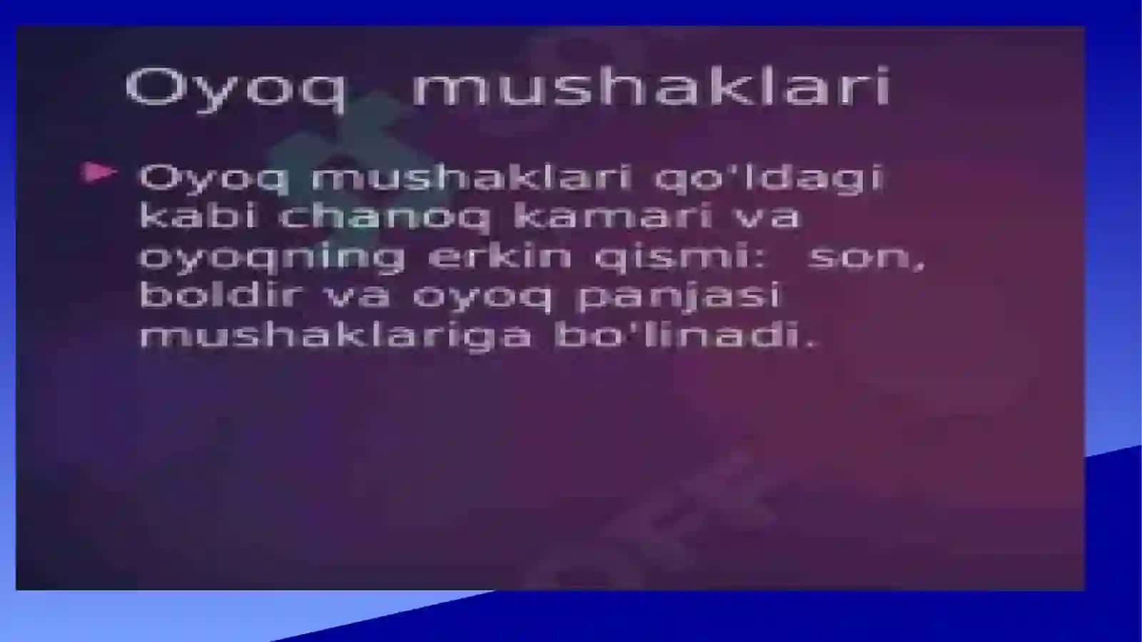 Oyoq mushaklarining vazifalari 3