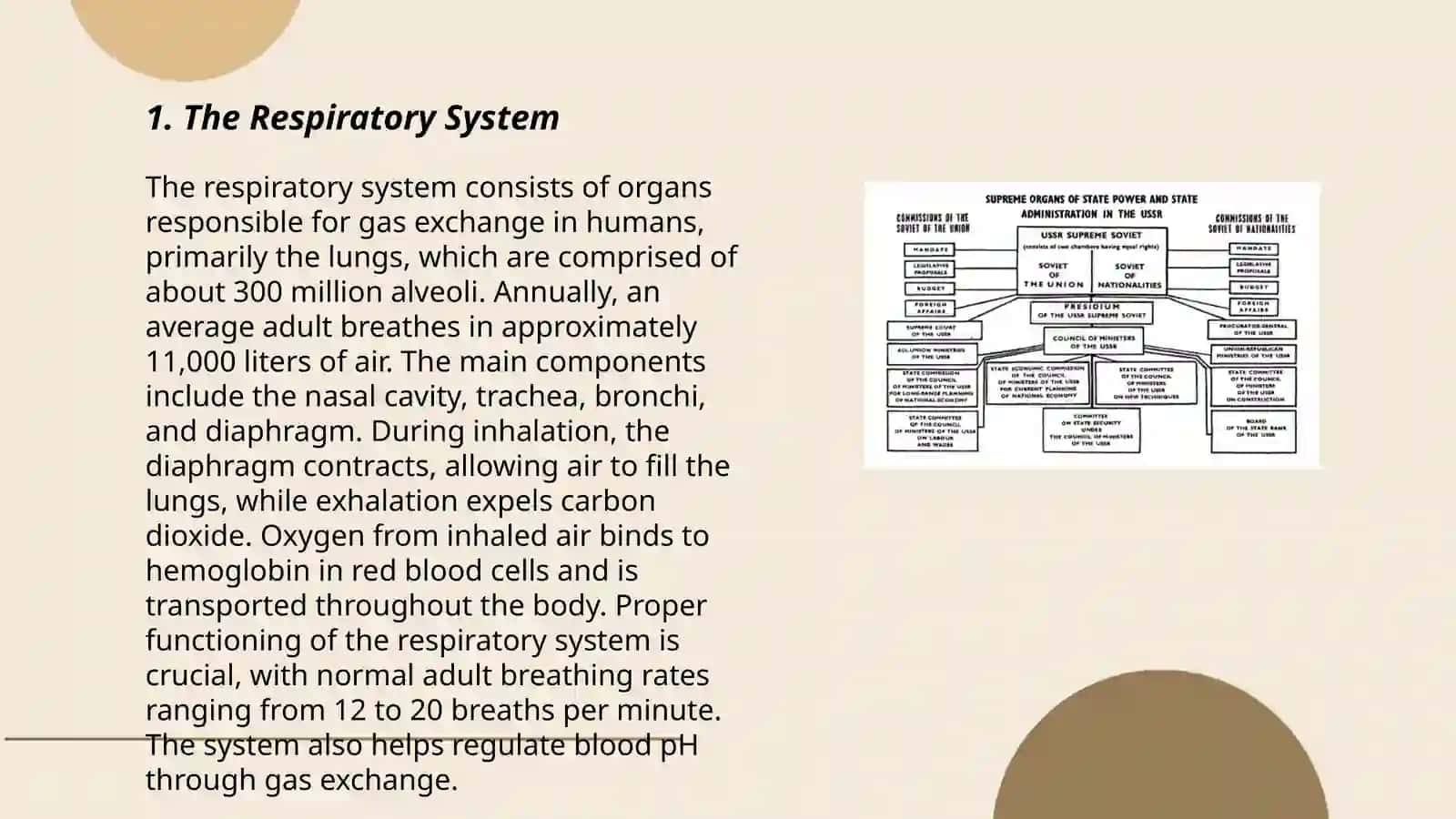 The Organs of Speech 3