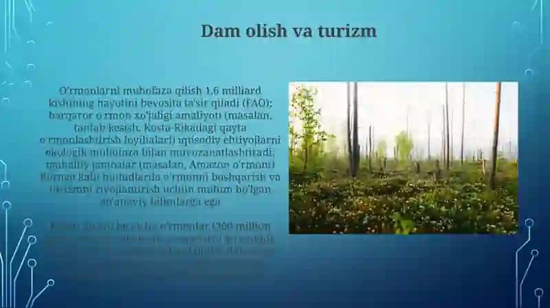 Oʻrmonning ijtimoiy ahamiyati 3