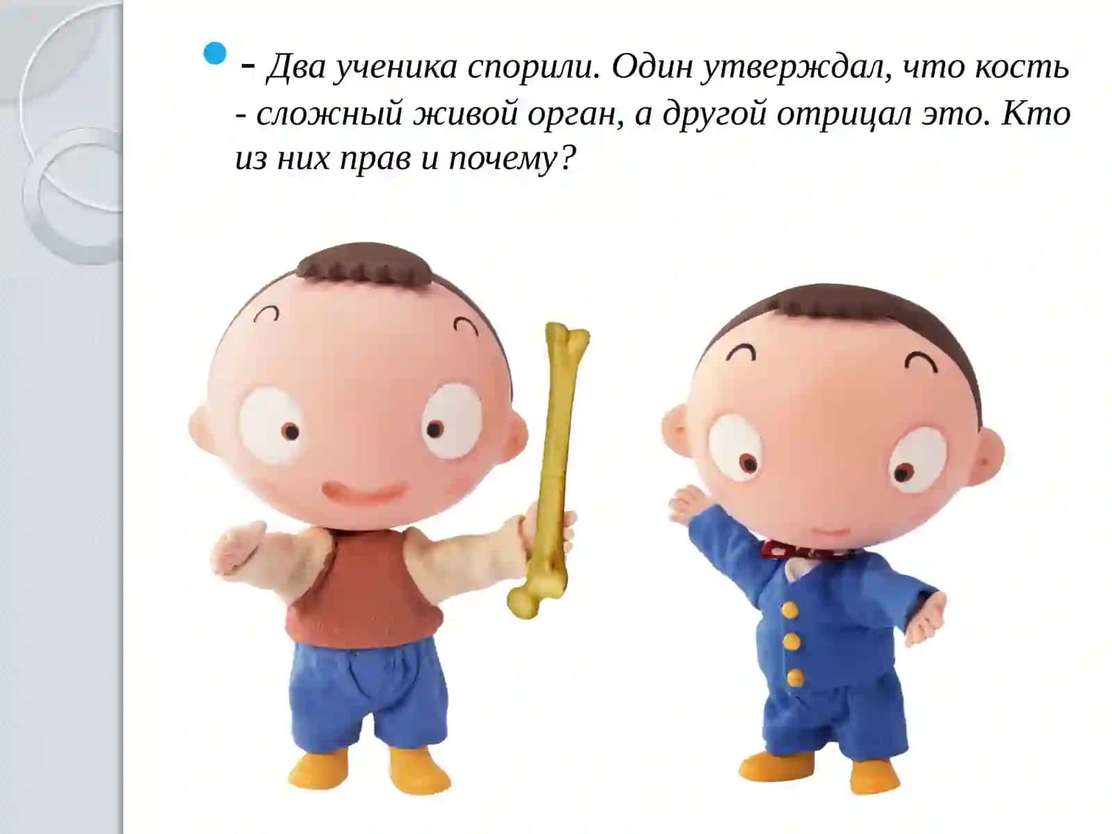 Скелет человека 3