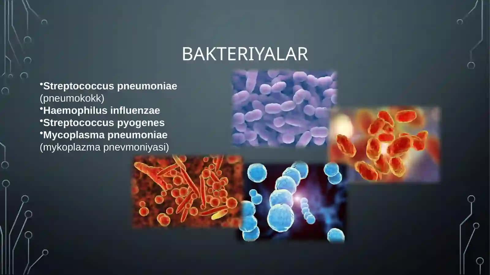 Pediatriya amaliyotida ko‘p uchraydigan infeksiyalar qo‘zg‘atuvchilari, patogenez, laboratoriya tashxisi 3