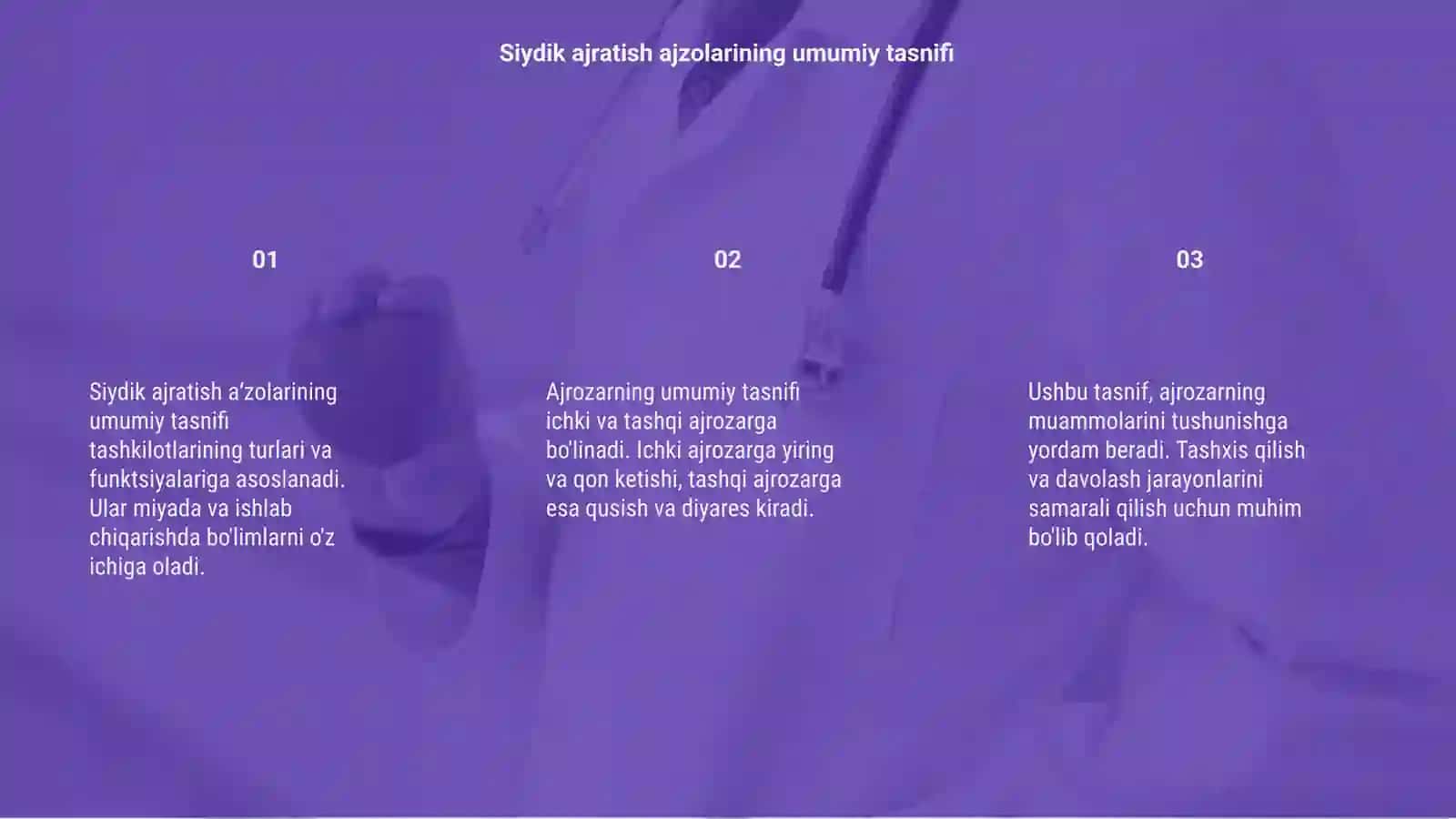 Siydik ajratish aʼzolarining umumiy tasnifi 3