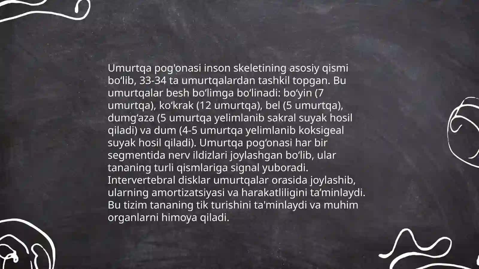 Umurtqa pog'onasi anatomiyasi 3