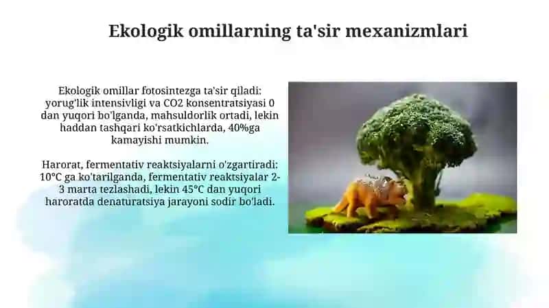 Ekologik omillarning ta'sir mexanizmlari 3