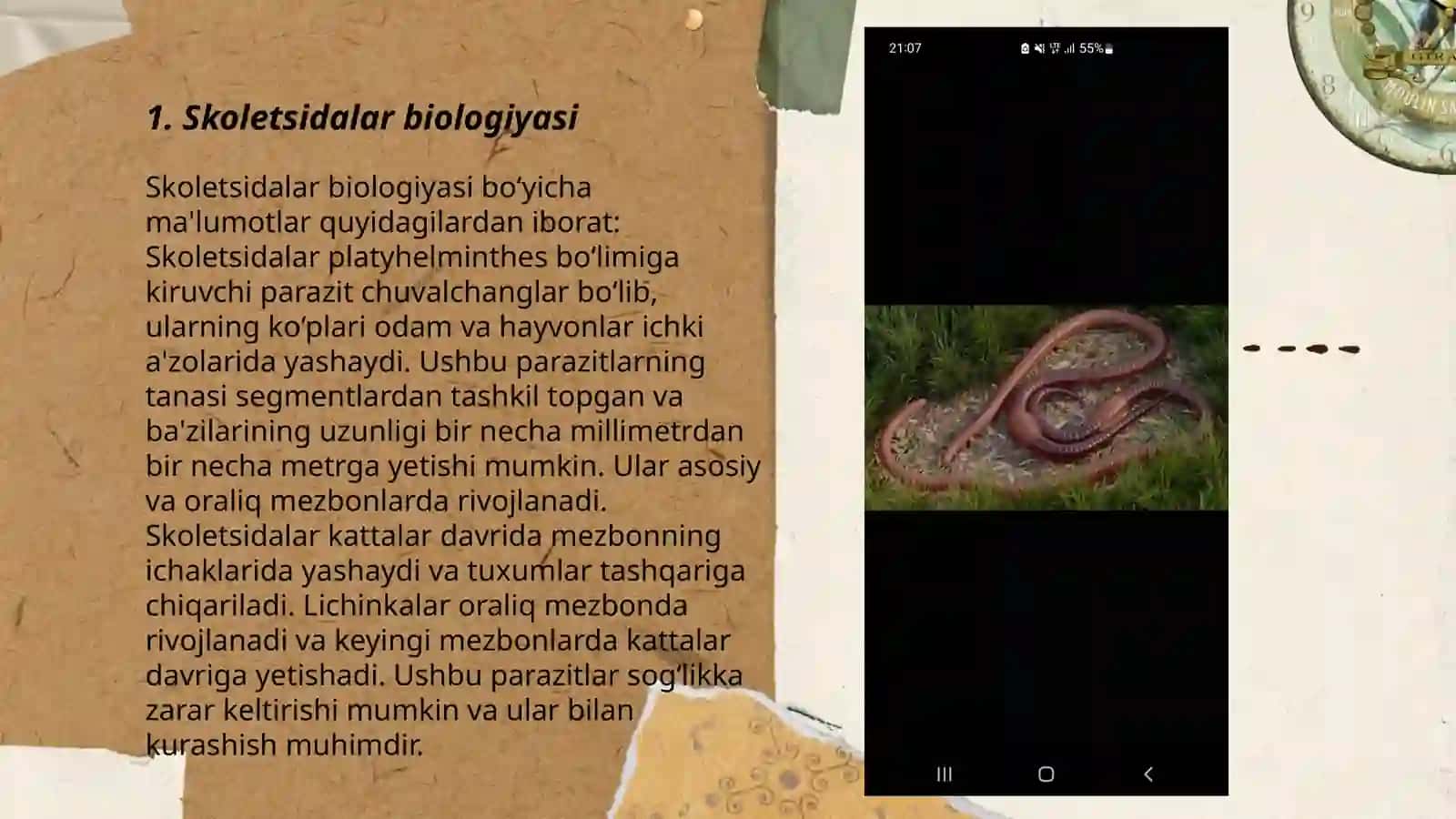 Skoletsidalar biologiyasi 3